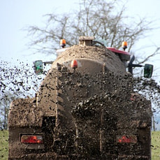 Narzissmus Manipulation - Smear Campaign